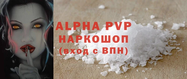 индика Белоозёрский