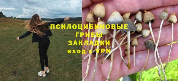 индика Белоозёрский