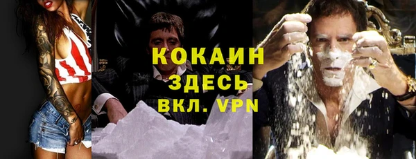 индика Белоозёрский